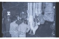 登錄號:KH2002.018.0054藏品圖，第19張