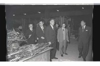 登錄號:KH2002.018.0076藏品圖，第24張