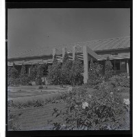 登錄號:KH2002.018.0079藏品圖，第9張