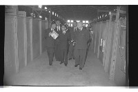 登錄號:KH2002.018.0081藏品圖，第13張