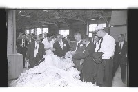 登錄號:KH2002.018.0085藏品圖，第19張