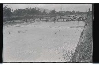 登錄號:KH2002.018.0099藏品圖，第7張