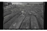 登錄號:KH2002.018.0112藏品圖，第5張