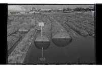 登錄號:KH2002.018.0112藏品圖，第6張