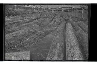 登錄號:KH2002.018.0112藏品圖，第11張