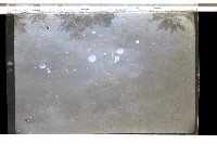 登錄號:KH2002.018.0113藏品圖，第2張