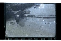 登錄號:KH2002.018.0113藏品圖，第11張