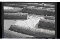 登錄號:KH2002.018.0113藏品圖，第23張