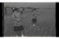 登錄號:KH2002.018.0115藏品圖，第5張