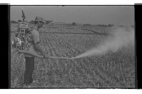 登錄號:KH2002.018.0115藏品圖，第8張