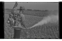 登錄號:KH2002.018.0115藏品圖，第9張