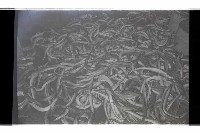 登錄號:KH2002.018.0125藏品圖，第6張