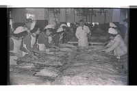 登錄號:KH2002.018.0125藏品圖，第14張