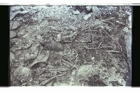 登錄號:KH2002.018.0128藏品圖，第6張