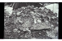 登錄號:KH2002.018.0128藏品圖，第22張