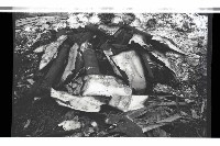 登錄號:KH2002.018.0128藏品圖，第36張