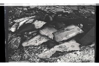 登錄號:KH2002.018.0128藏品圖，第37張