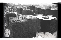 登錄號:KH2002.018.0128藏品圖，第50張