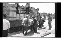 登錄號:KH2002.018.0153藏品圖，第28張