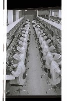 登錄號:KH2002.018.0163藏品圖，第3張