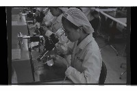 登錄號:KH2002.018.0163藏品圖，第7張