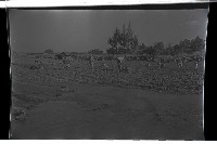 登錄號:KH2002.019.0008藏品圖，第11張