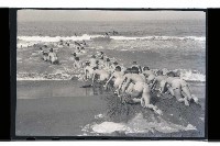 登錄號:KH2002.019.0009藏品圖，第7張