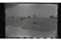 登錄號:KH2002.019.0010藏品圖，第13張