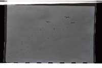 登錄號:KH2002.019.0013藏品圖，第8張