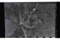 登錄號:KH2002.019.0013藏品圖，第12張