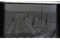 登錄號:KH2002.019.0013藏品圖，第14張