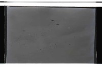 登錄號:KH2002.019.0014藏品圖，第9張