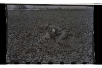 登錄號:KH2002.019.0014藏品圖，第13張