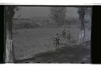 登錄號:KH2002.019.0014藏品圖，第14張