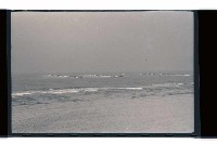 登錄號:KH2002.019.0020藏品圖，第10張