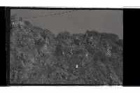 登錄號:KH2002.019.0021藏品圖，第2張