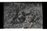 登錄號:KH2002.019.0021藏品圖，第4張