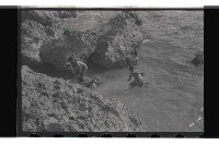 登錄號:KH2002.019.0021藏品圖，第7張