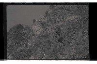 登錄號:KH2002.019.0021藏品圖，第9張