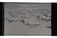 登錄號:KH2002.019.0021藏品圖，第17張