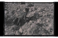 登錄號:KH2002.019.0023藏品圖，第15張