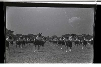 登錄號:KH2002.019.0024藏品圖，第13張