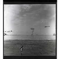 登錄號:KH2002.019.0028藏品圖，第31張