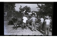 登錄號:KH2002.019.0032藏品圖，第15張