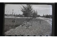 登錄號:KH2002.019.0033藏品圖，第17張