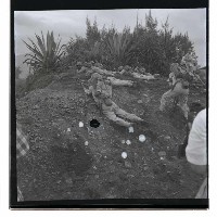 登錄號:KH2002.019.0036藏品圖，第2張