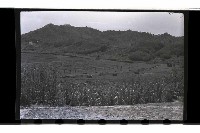 登錄號:KH2002.019.0039藏品圖，第24張