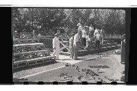 登錄號:KH2002.019.0040藏品圖，第16張