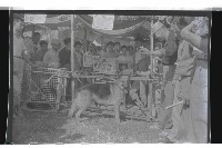 登錄號:KH2002.019.0047藏品圖，第3張