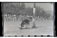 登錄號:KH2002.019.0047藏品圖，第7張